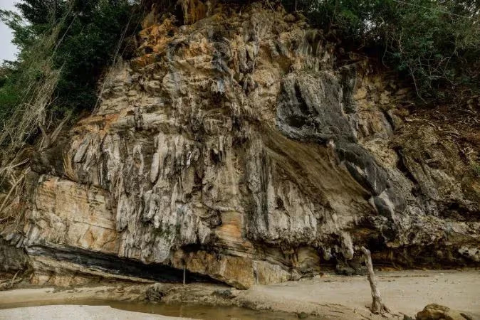 Tuba Mangrove Boat Tour in Langkawi